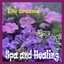 Spa and Healing Albumcover