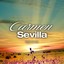 Rayito De Sol Albumcover