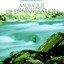 Musique De Dynamisation Albumcover
