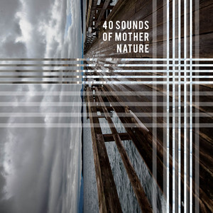 40 Sounds of Mother Nature album