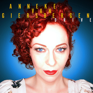 Drive cover