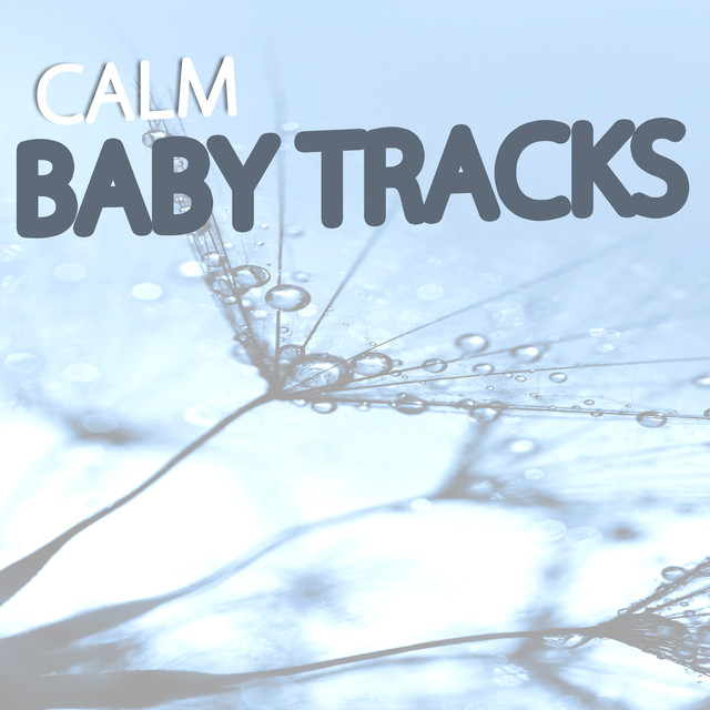 Calm Baby Tracks Albumcover