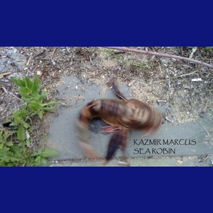 Kazmir Marcus