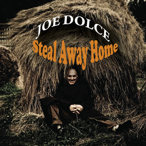 Steal Away Home Albumcover