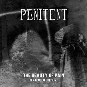 The Beauty of Pain cover
