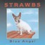 Blue Angel Albumcover