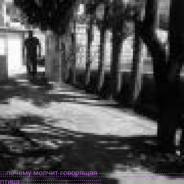 почему коммутатор молчит Photo