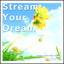 Stream Your Dream Albumcover