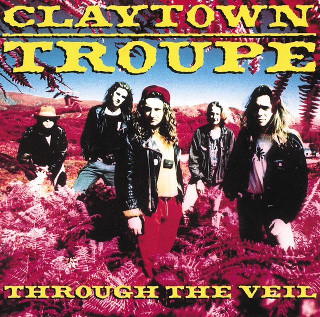 Through The Veil cover