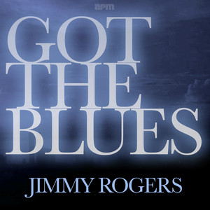 Got the Blues album