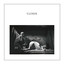 Closer cover