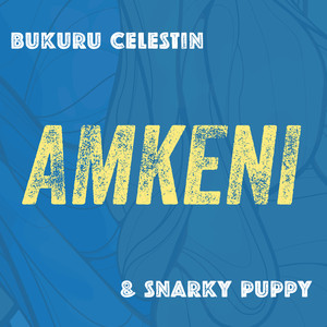 Amkeni album