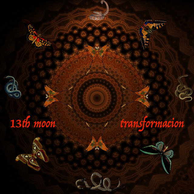 13th Moon Photo