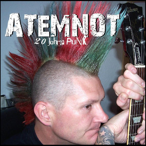 20 Jahre Punk cover