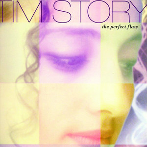 The Perfect Flaw cover