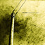 Communication Lost cover