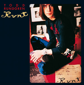 Runt cover