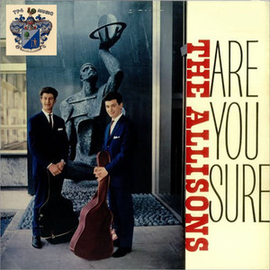 Are You Sure cover