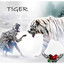 Tora Woloshin