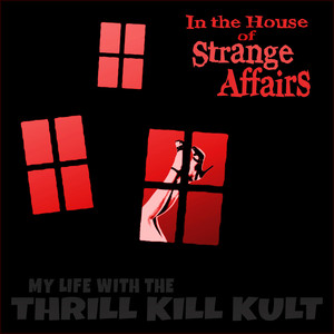 In the House of Strange Affairs cover