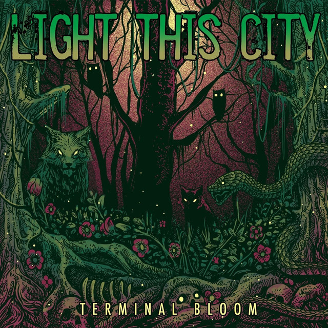 City Light Photo