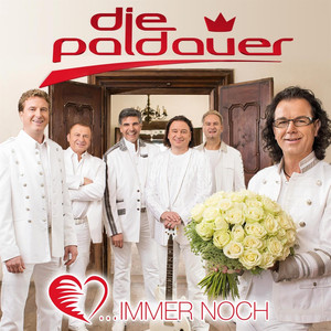 Immer Noch cover