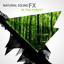 Natural Sound FX: In the Forest Albumcover