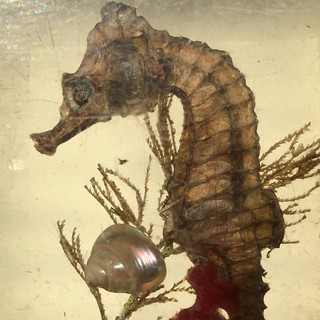 Nutid Photo
