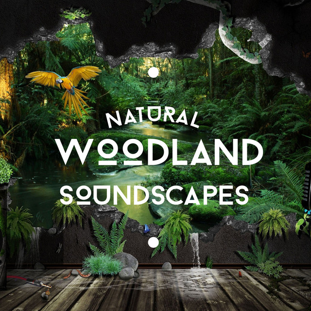 Natural Woodland Soundscapes Albumcover