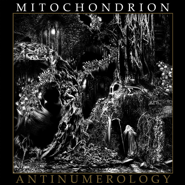 Mitochondrion Photo