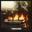 The Amazons (Deluxe) cover