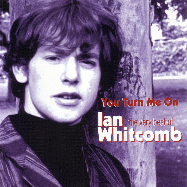 You Turn Me On: The Very Best Of Ian Whitcomb cover