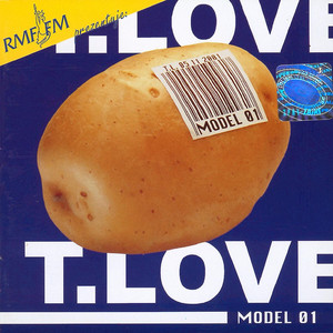 Model 01 cover