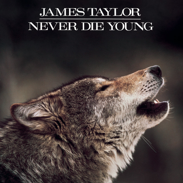 Never Die Young cover