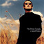 A Secret History... The Best of the Divine Comedy cover