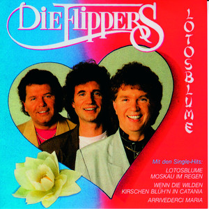Lotosblume cover