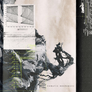 The Decision Tree cover