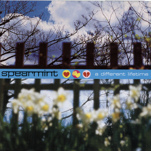 A Different Lifetime album