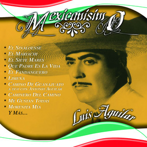 Mexicanisimo cover