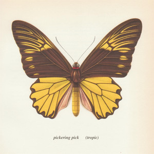 (Tropic) cover