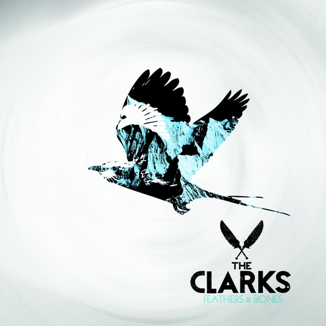 Feathers & Bones cover
