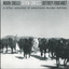 Seven Curses cover