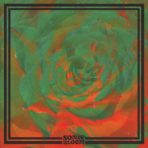 Sonic Bloom cover