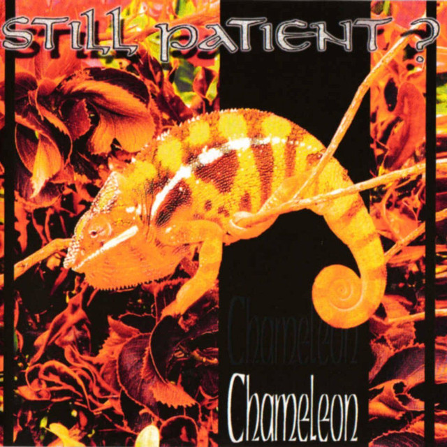 Chameleon cover