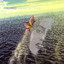 Across an Ocean Albumcover