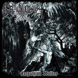Carpathian Wolves (intro) cover