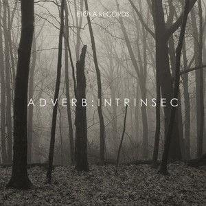 Adverb