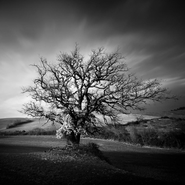 HeavensDust photo