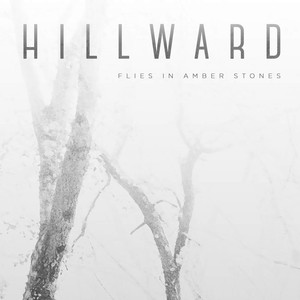 Hillward Photo
