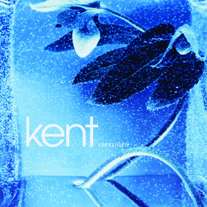 Verkligen cover